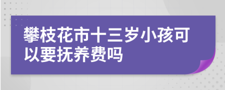 攀枝花市十三岁小孩可以要抚养费吗