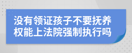 没有领证孩子不要抚养权能上法院强制执行吗