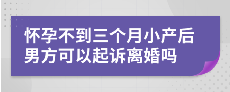 怀孕不到三个月小产后男方可以起诉离婚吗