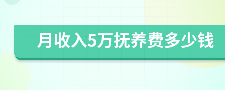 月收入5万抚养费多少钱