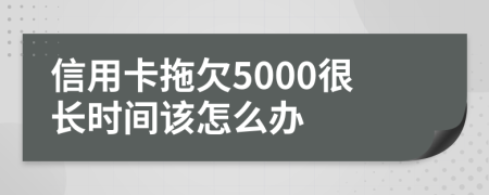 信用卡拖欠5000很长时间该怎么办