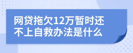网贷拖欠12万暂时还不上自救办法是什么