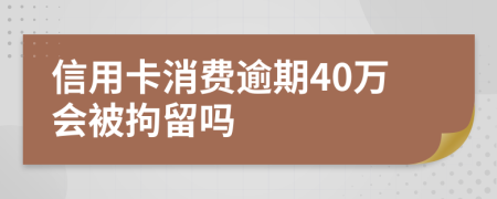 信用卡消费逾期40万会被拘留吗
