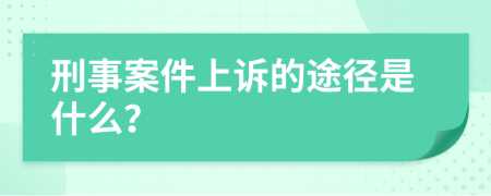 刑事案件上诉的途径是什么？