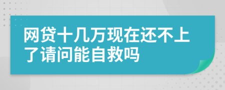 网贷十几万现在还不上了请问能自救吗