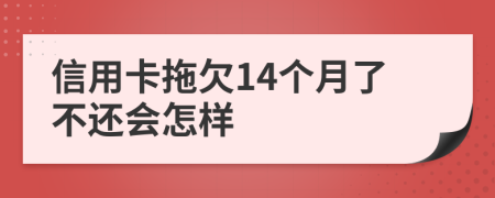 信用卡拖欠14个月了不还会怎样