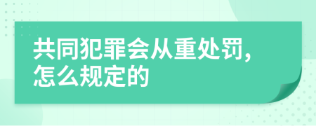 共同犯罪会从重处罚,怎么规定的