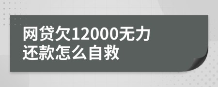 网贷欠12000无力还款怎么自救