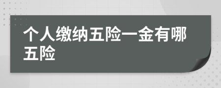 个人缴纳五险一金有哪五险