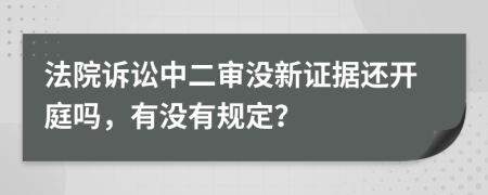 法院诉讼中二审没新证据还开庭吗，有没有规定？