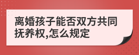 离婚孩子能否双方共同抚养权,怎么规定