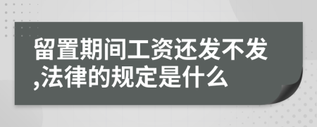 留置期间工资还发不发,法律的规定是什么