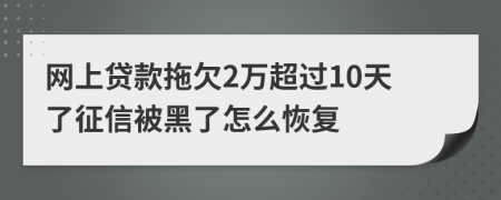 网上贷款拖欠2万超过10天了征信被黑了怎么恢复