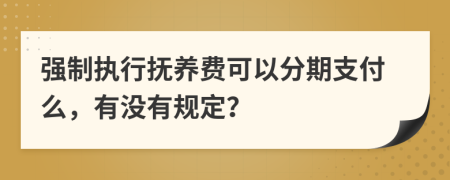 强制执行抚养费可以分期支付么，有没有规定？