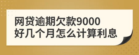 网贷逾期欠款9000好几个月怎么计算利息