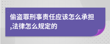 偷盗罪刑事责任应该怎么承担,法律怎么规定的
