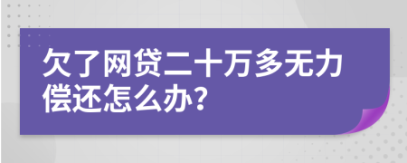 欠了网贷二十万多无力偿还怎么办？