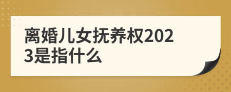 离婚儿女抚养权2023是指什么