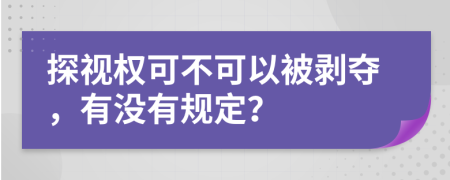 探视权可不可以被剥夺，有没有规定？