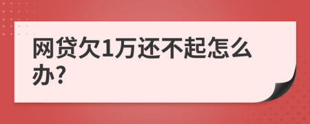 网贷欠1万还不起怎么办?