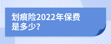 划痕险2022年保费是多少？