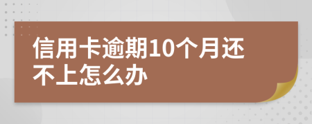 信用卡逾期10个月还不上怎么办