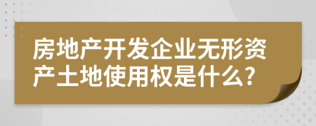 房地产开发企业无形资产土地使用权是什么?