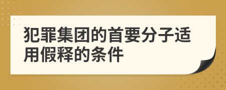 犯罪集团的首要分子适用假释的条件