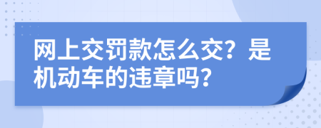 网上交罚款怎么交？是机动车的违章吗？