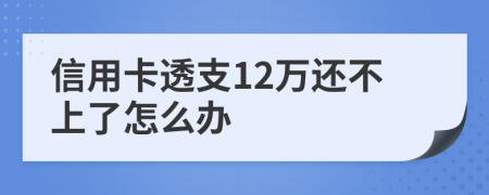 信用卡透支12万还不上了怎么办