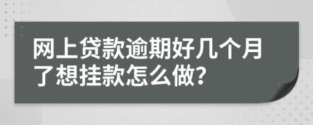 网上贷款逾期好几个月了想挂款怎么做？