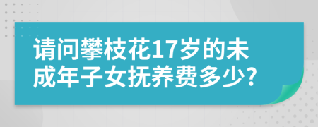 请问攀枝花17岁的未成年子女抚养费多少?