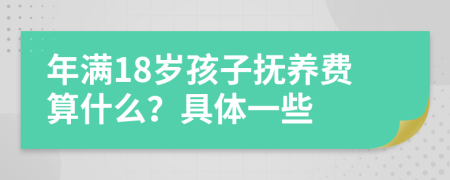 年满18岁孩子抚养费算什么？具体一些