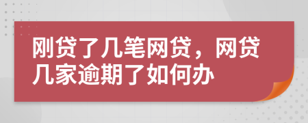 刚贷了几笔网贷，网贷几家逾期了如何办