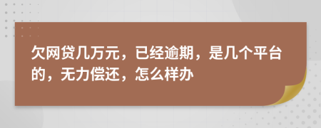 欠网贷几万元，已经逾期，是几个平台的，无力偿还，怎么样办