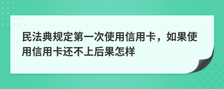 民法典规定第一次使用信用卡，如果使用信用卡还不上后果怎样