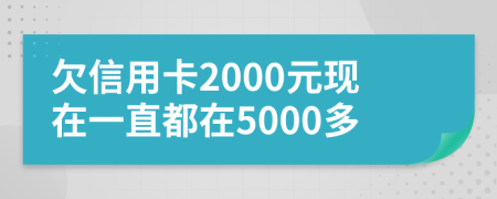 欠信用卡2000元现在一直都在5000多