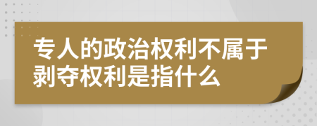 专人的政治权利不属于剥夺权利是指什么