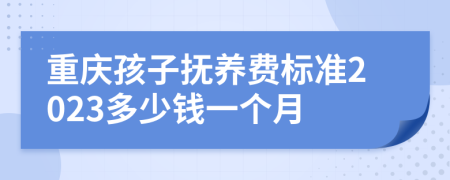重庆孩子抚养费标准2023多少钱一个月