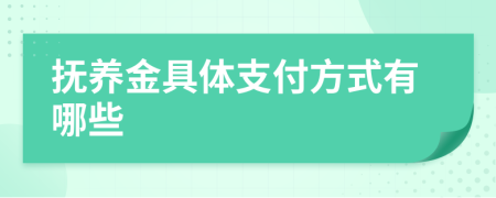 抚养金具体支付方式有哪些