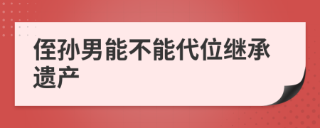 侄孙男能不能代位继承遗产