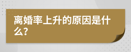 离婚率上升的原因是什么？