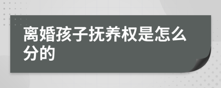 离婚孩子抚养权是怎么分的