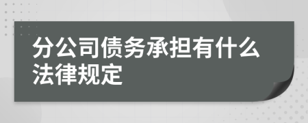 分公司债务承担有什么法律规定