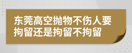 东莞高空抛物不伤人要拘留还是拘留不拘留