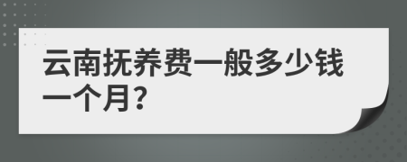 云南抚养费一般多少钱一个月？
