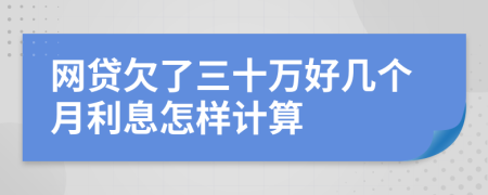 网贷欠了三十万好几个月利息怎样计算