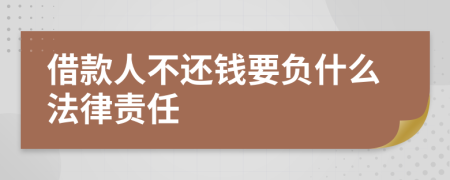 借款人不还钱要负什么法律责任