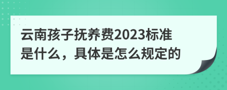 云南孩子抚养费2023标准是什么，具体是怎么规定的