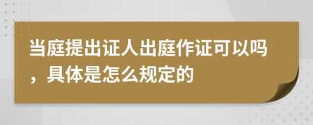 当庭提出证人出庭作证可以吗，具体是怎么规定的